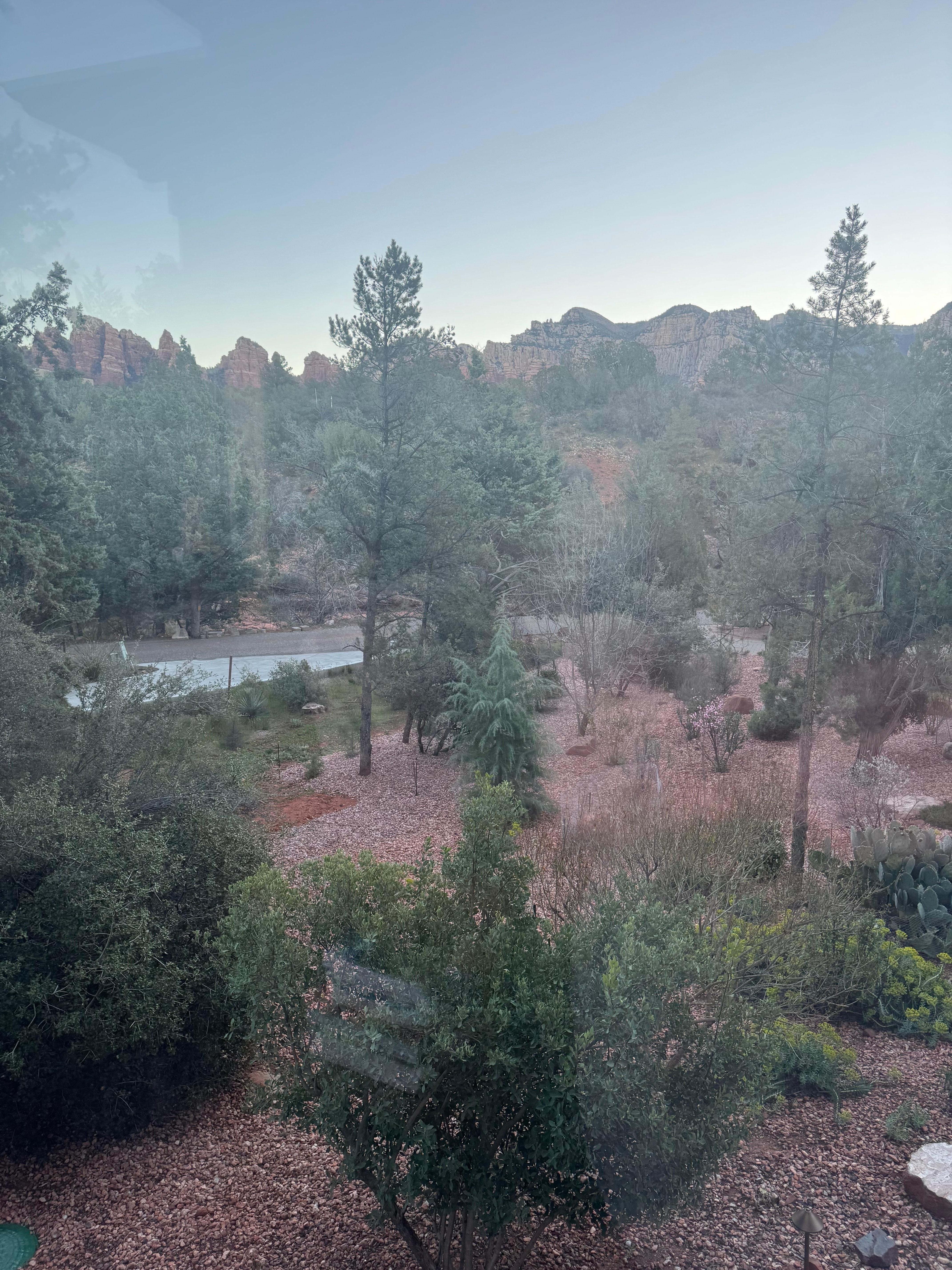 Views from the front windows