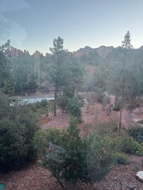 Views from the front windows