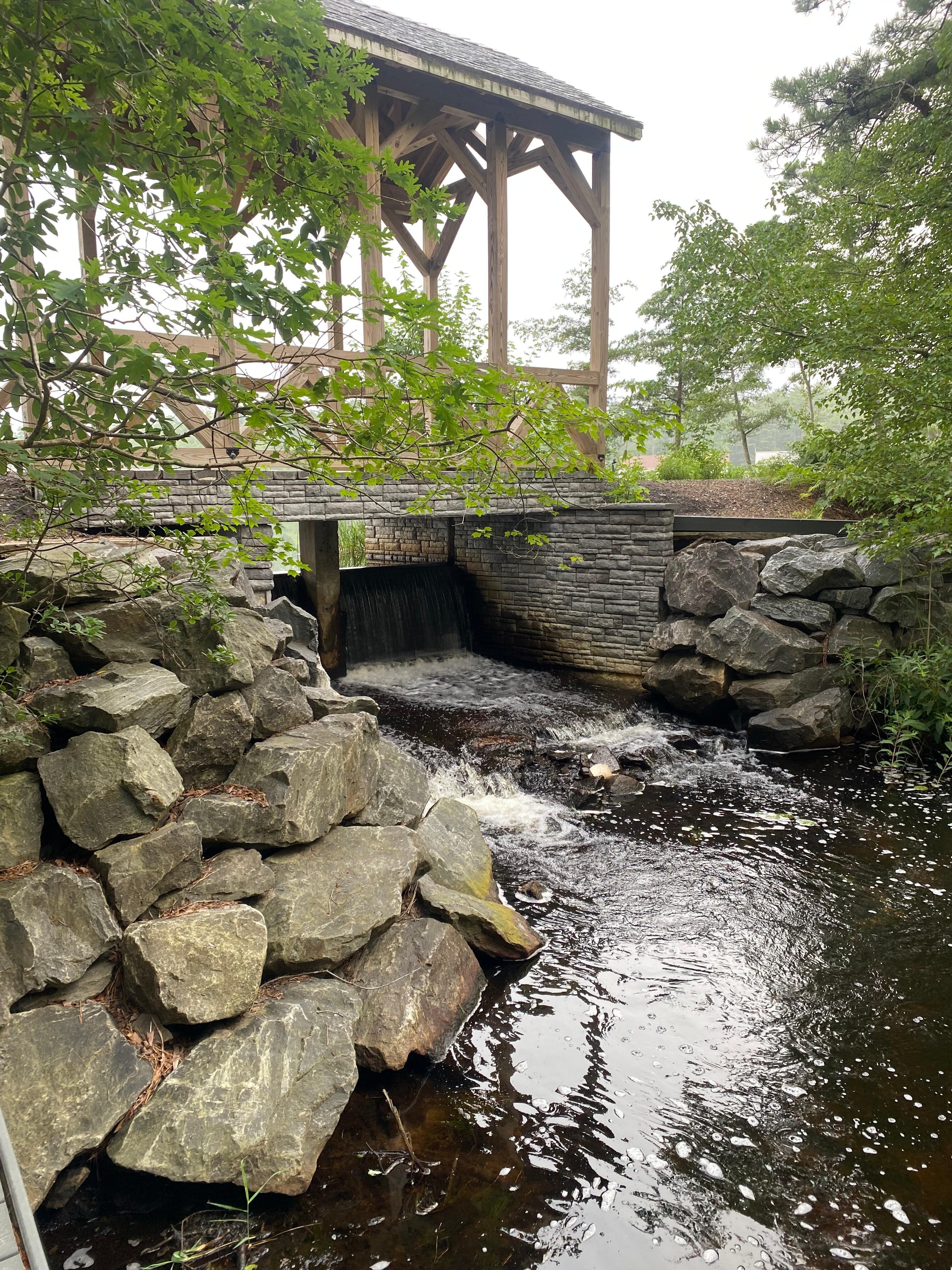 Covered bridge on the property trail