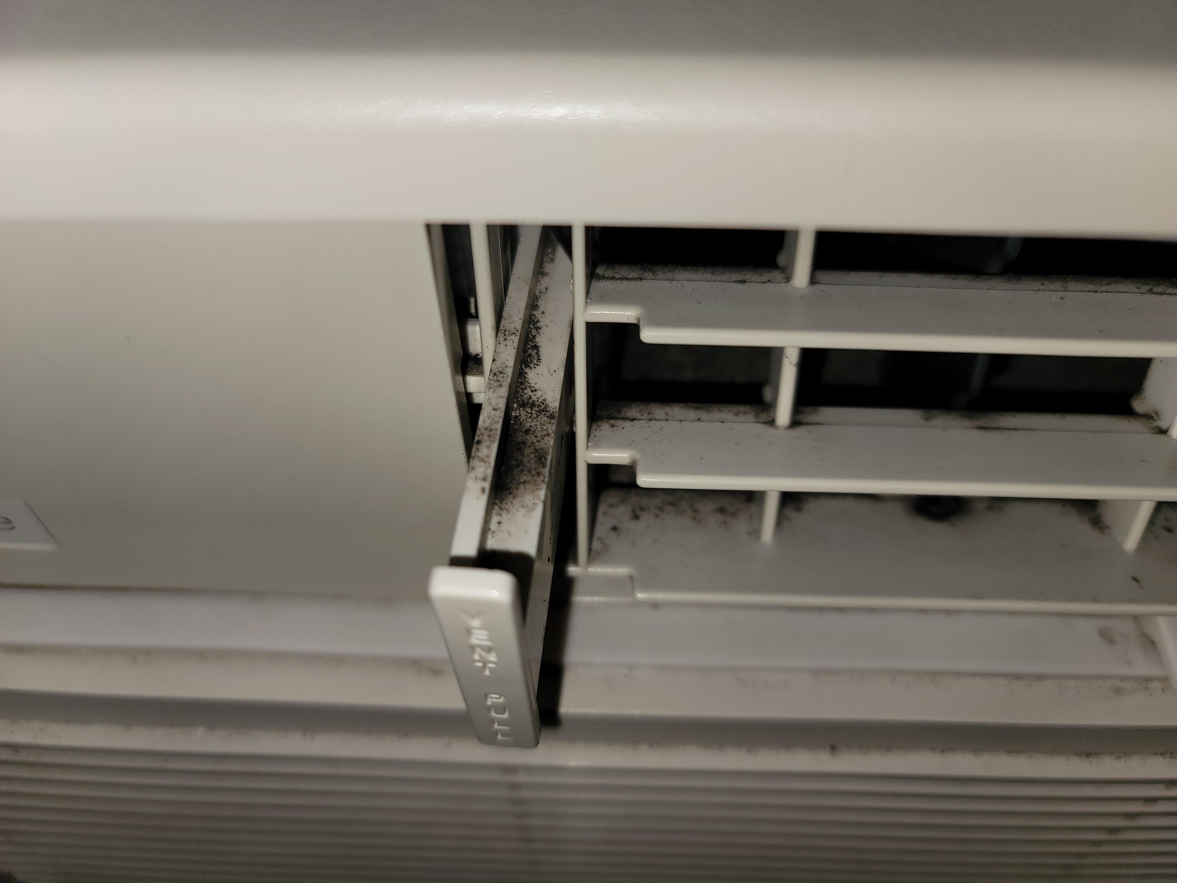 Mold in AC