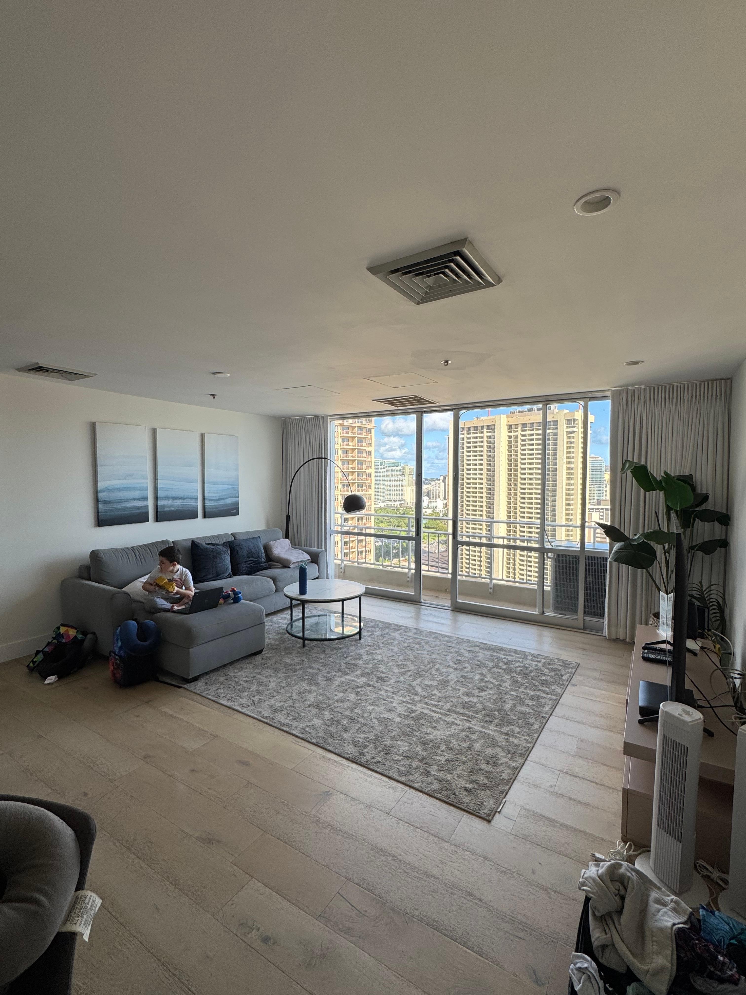 Living room with pull out bed