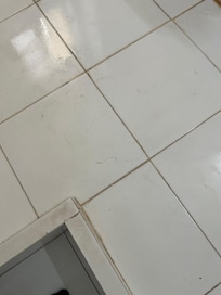 The floor after the bathroom was “cleaned”