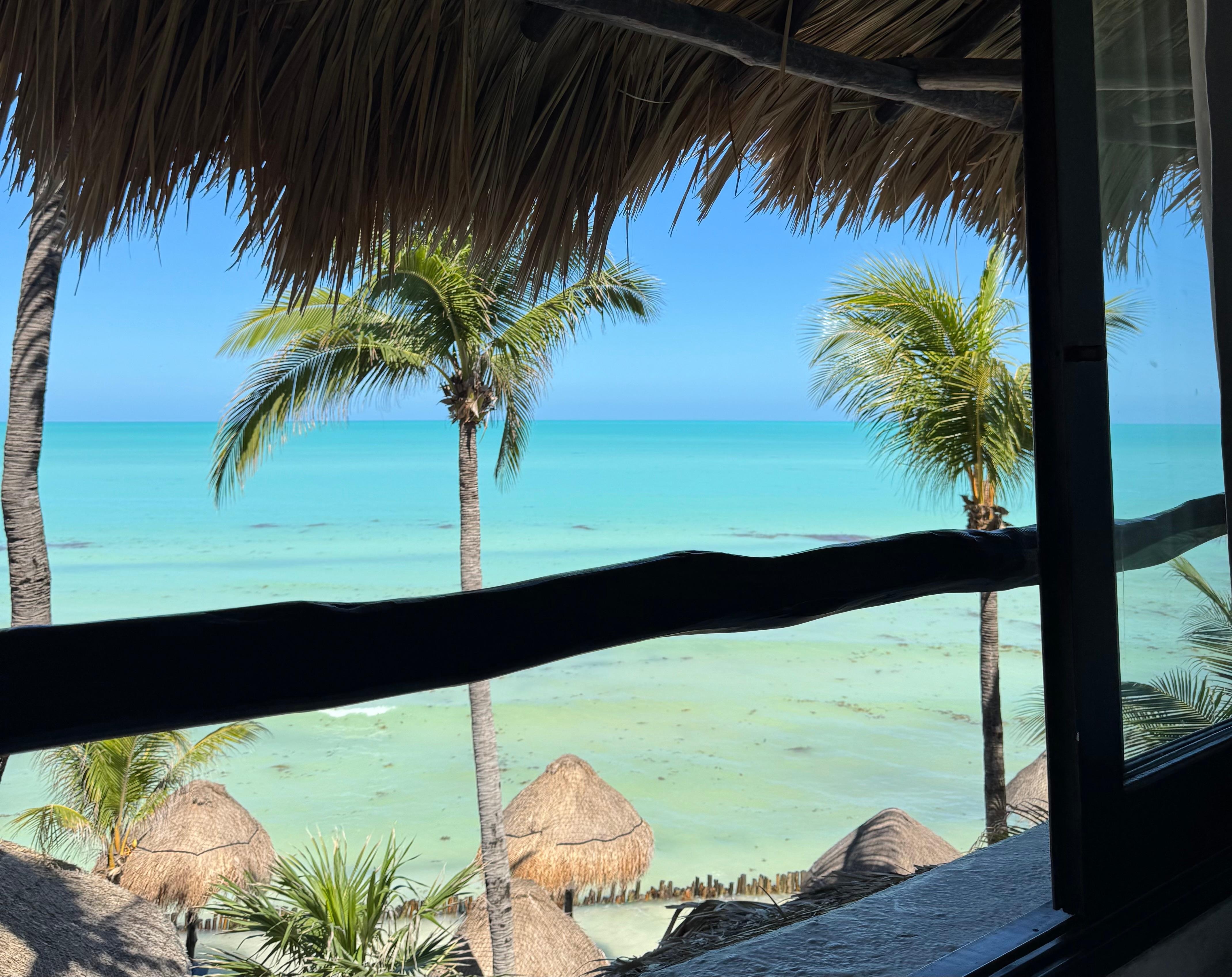 View from the in-room hammock. 