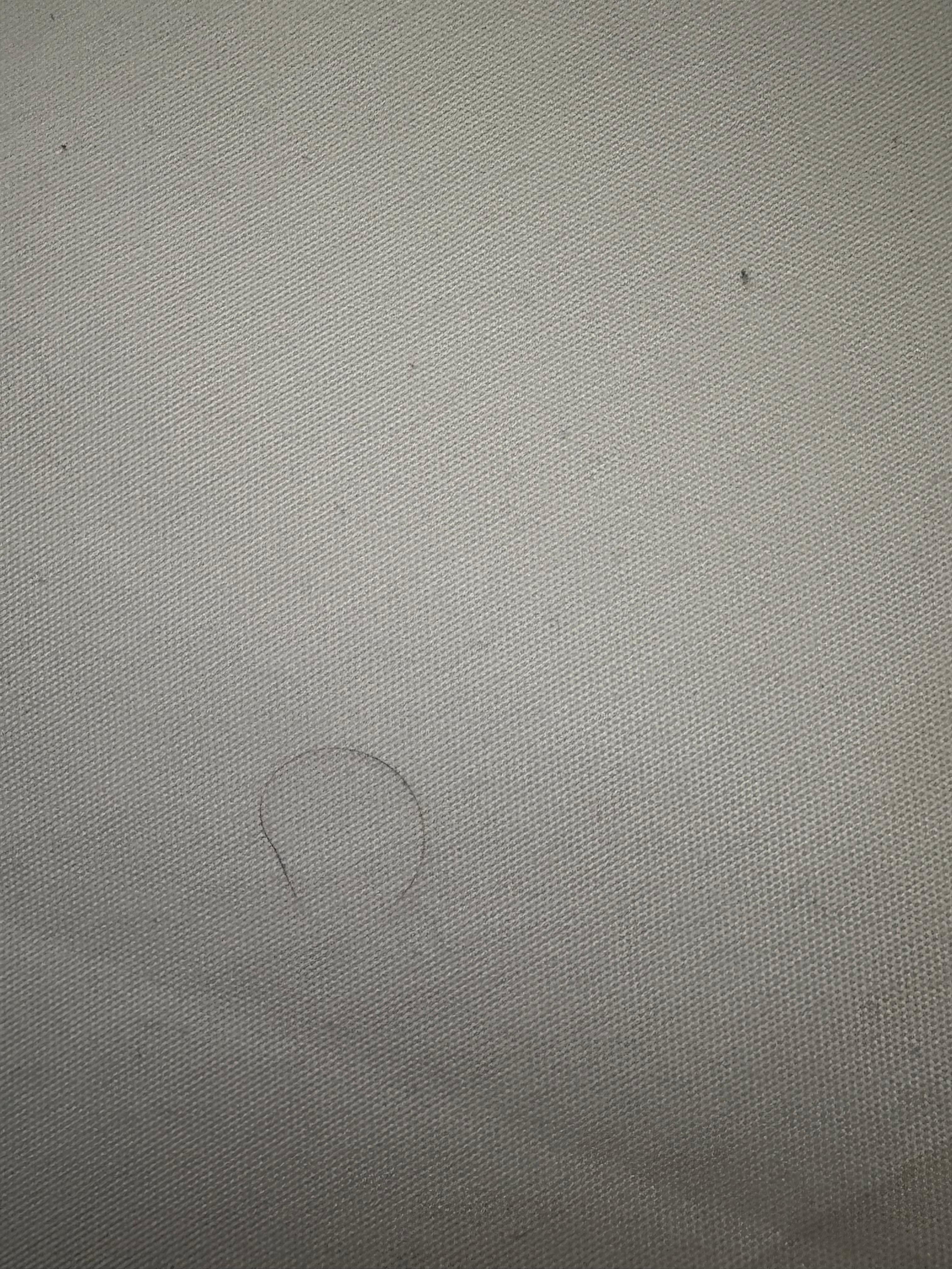 Hair or dirt on sheets 