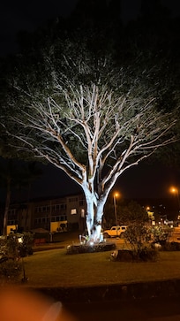 フロント入り口のロータリー