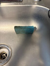 Disgusting sponge