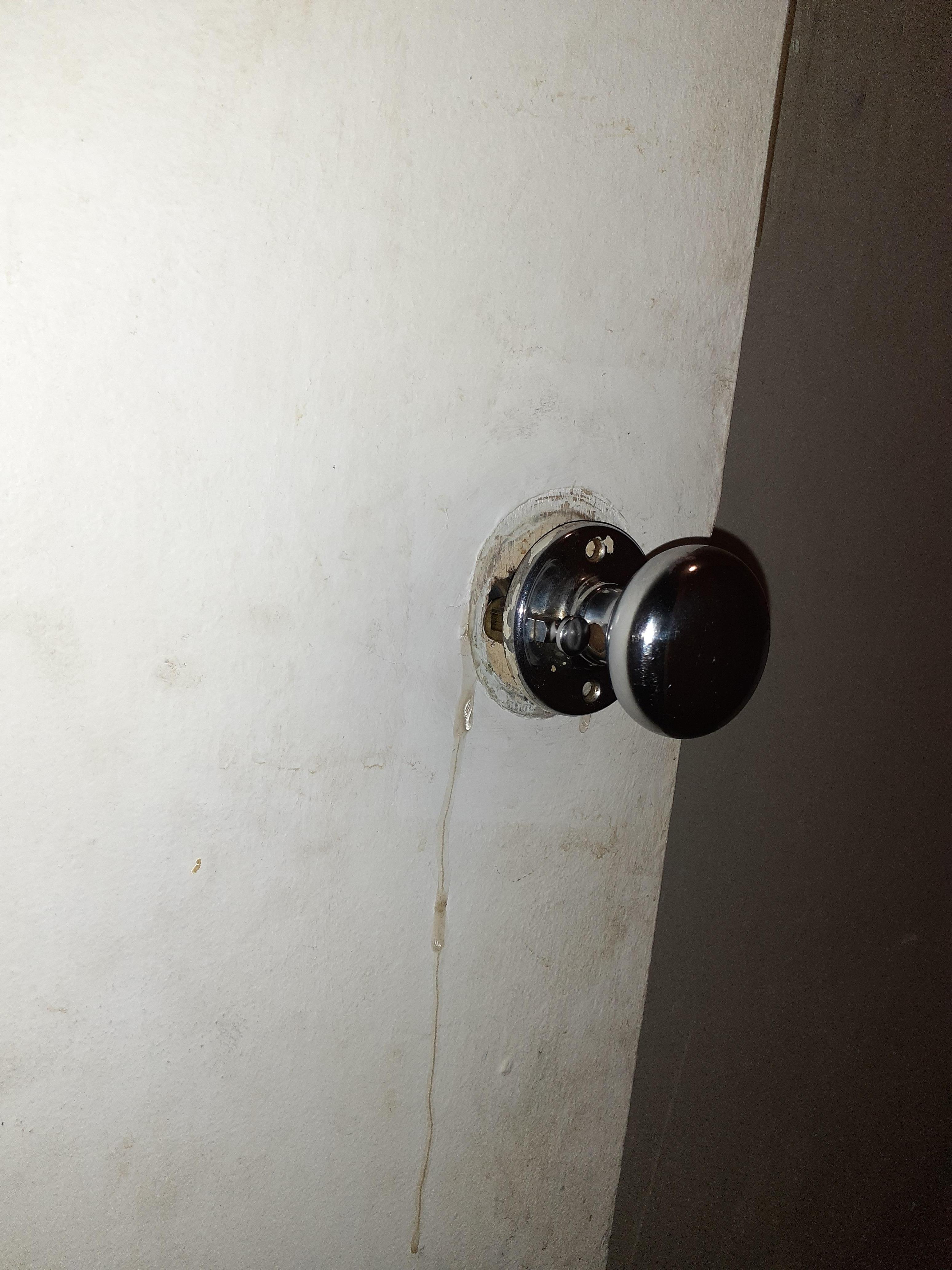 Bathroom doorknob
