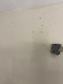 Mold on wall in shower.