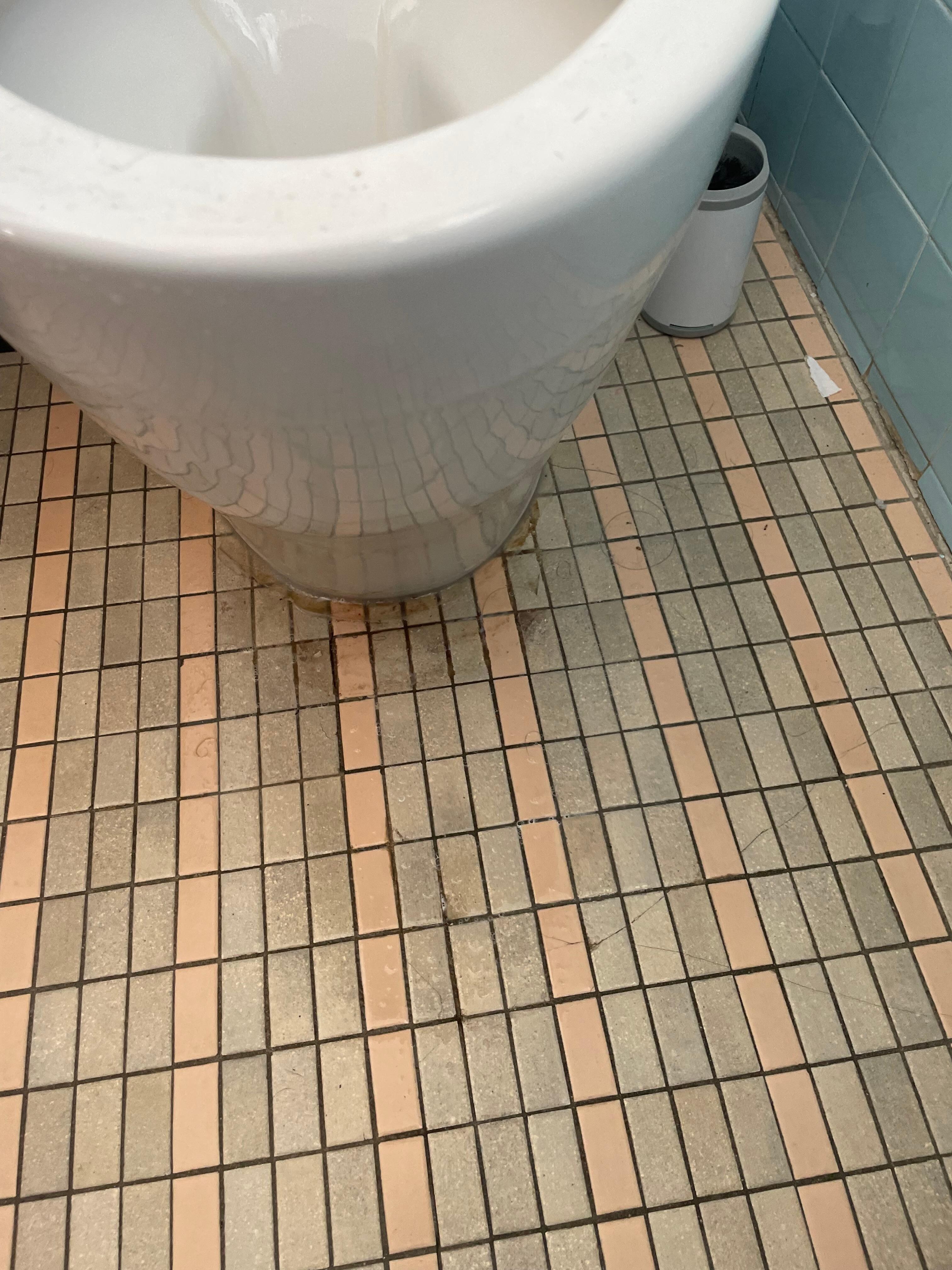 Dirty toilet 