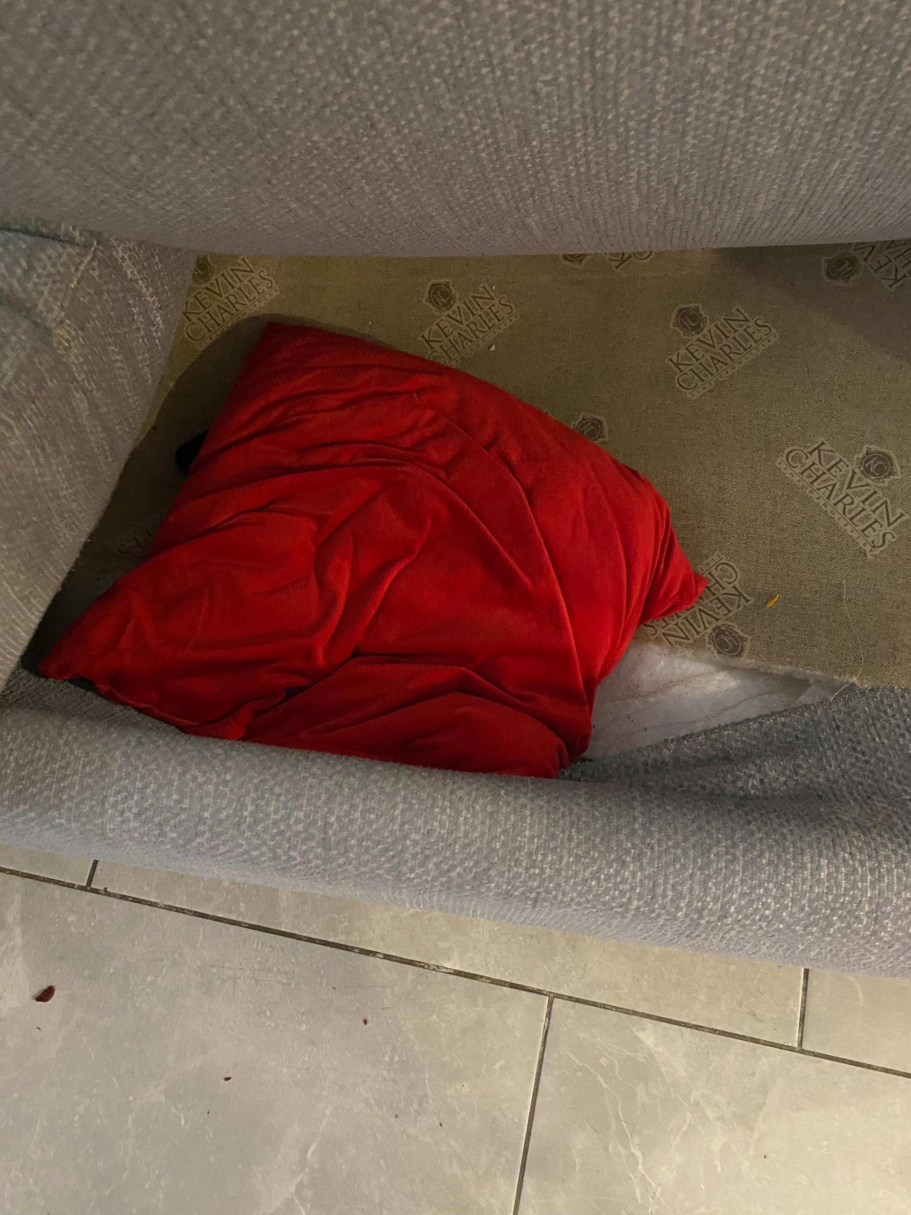 Couch will pillow beneath 