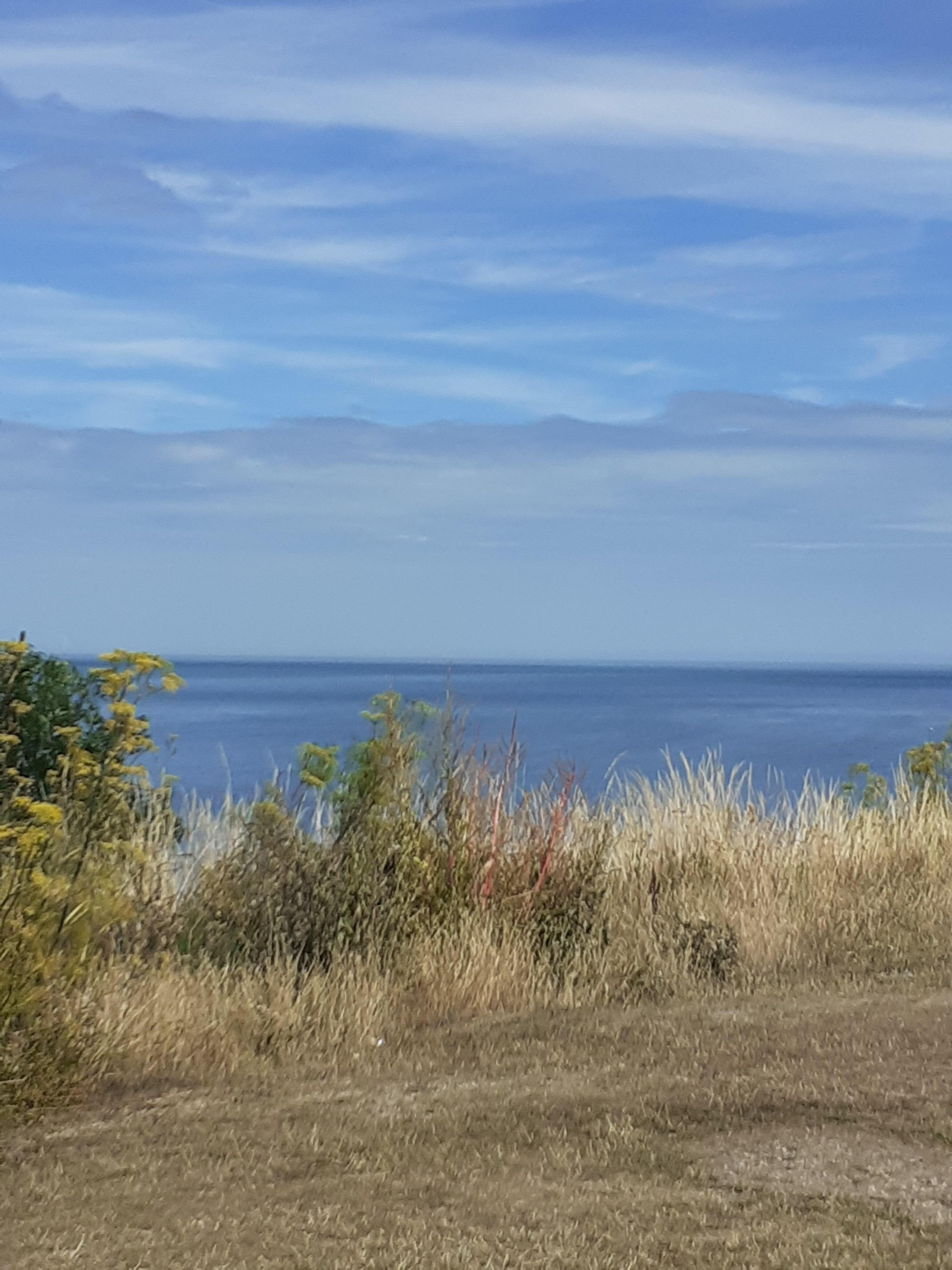 The coastal walk