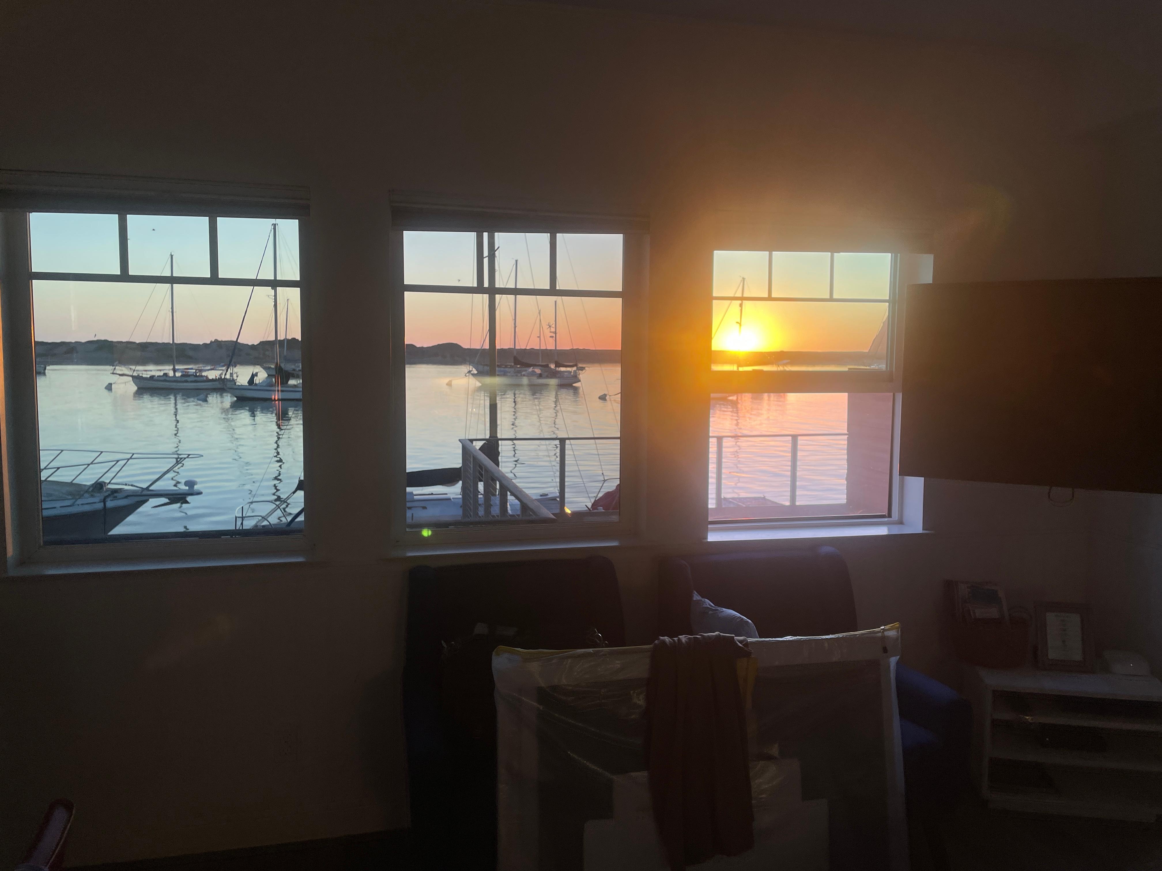 View from living room 