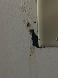 Honestly no clue what this was on the outlet