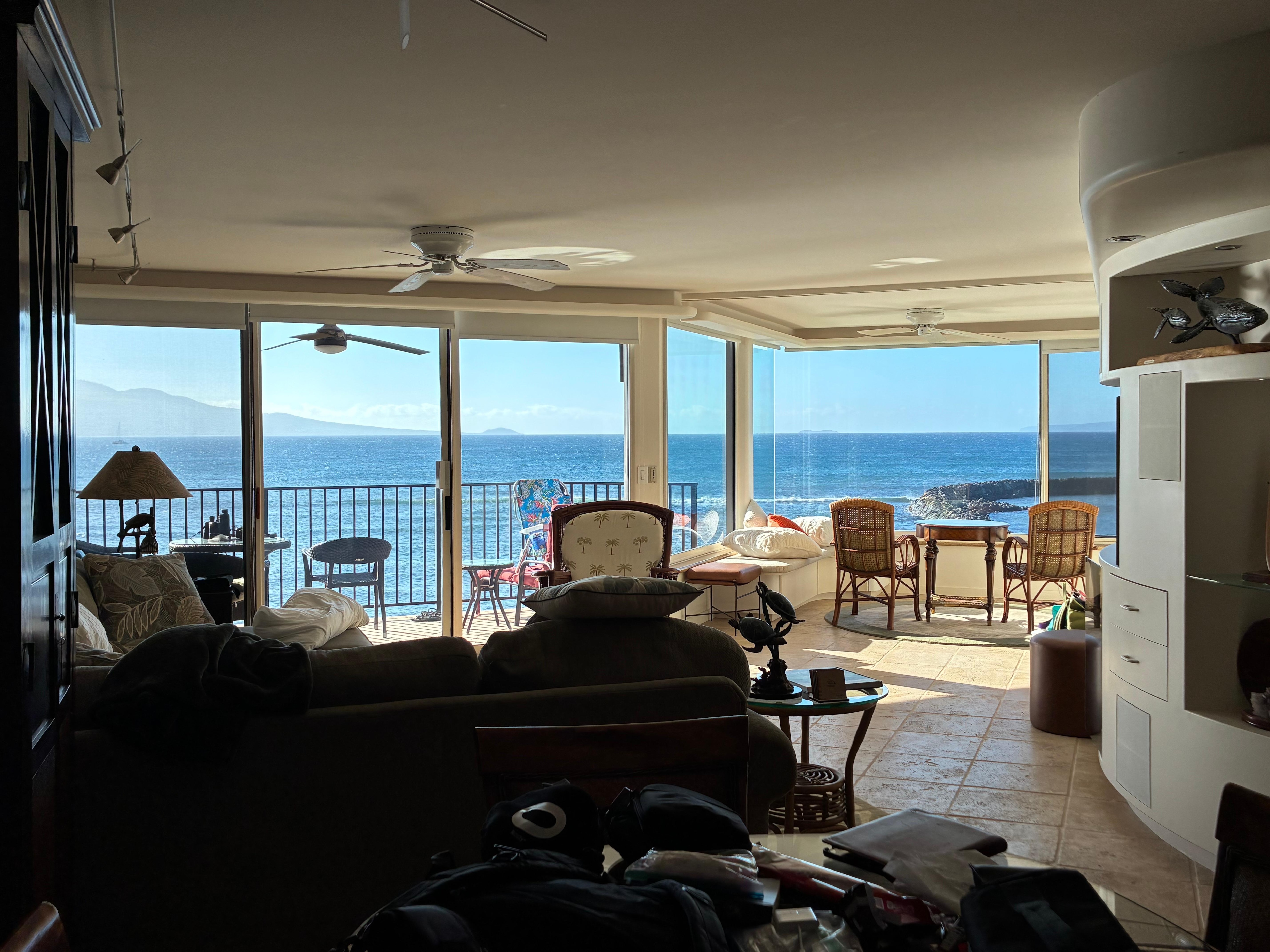 This is waiting for you as you open the front door!  Magical.