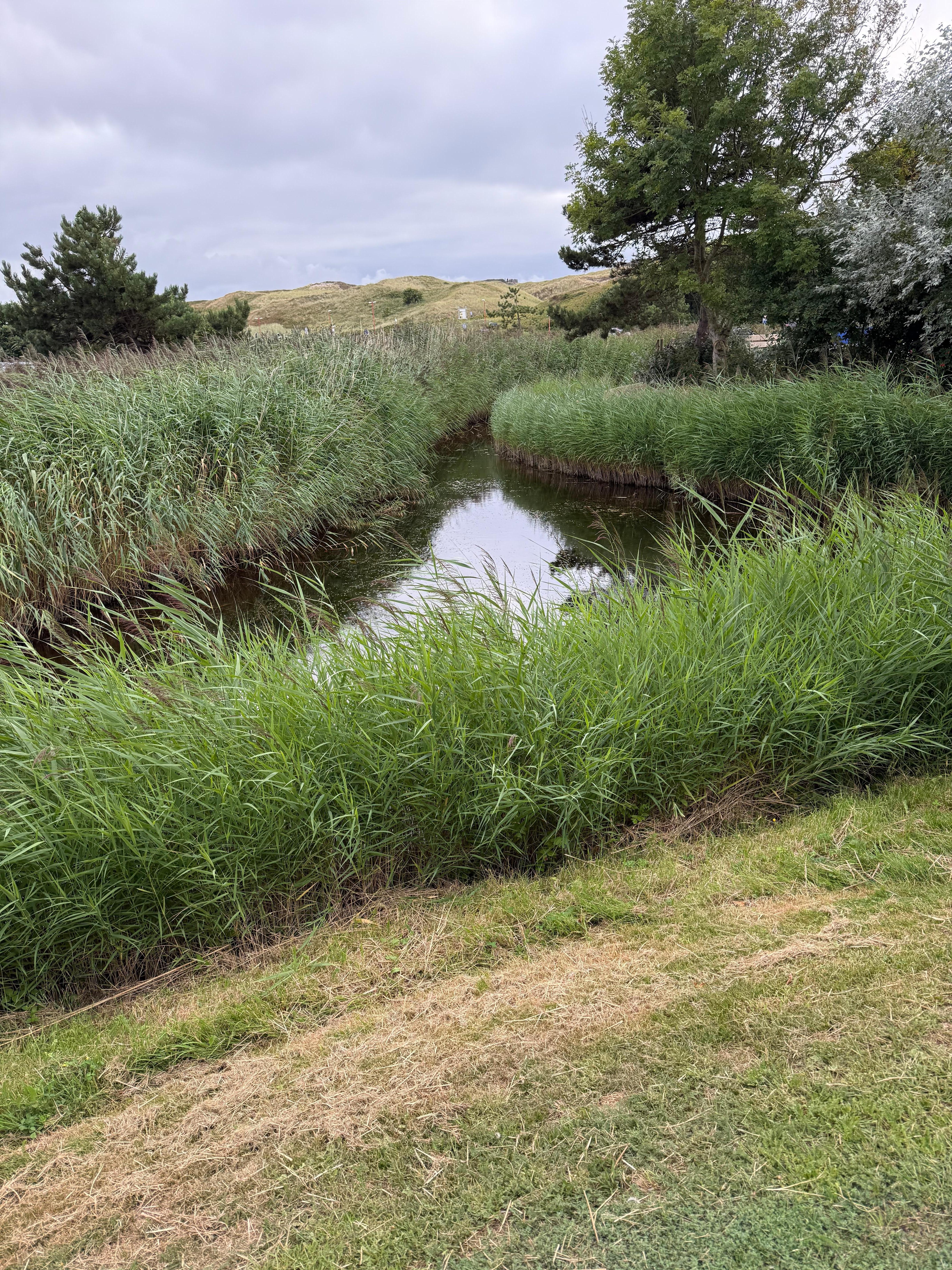 Blick von der Terrasse 