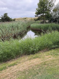 Blick von der Terrasse