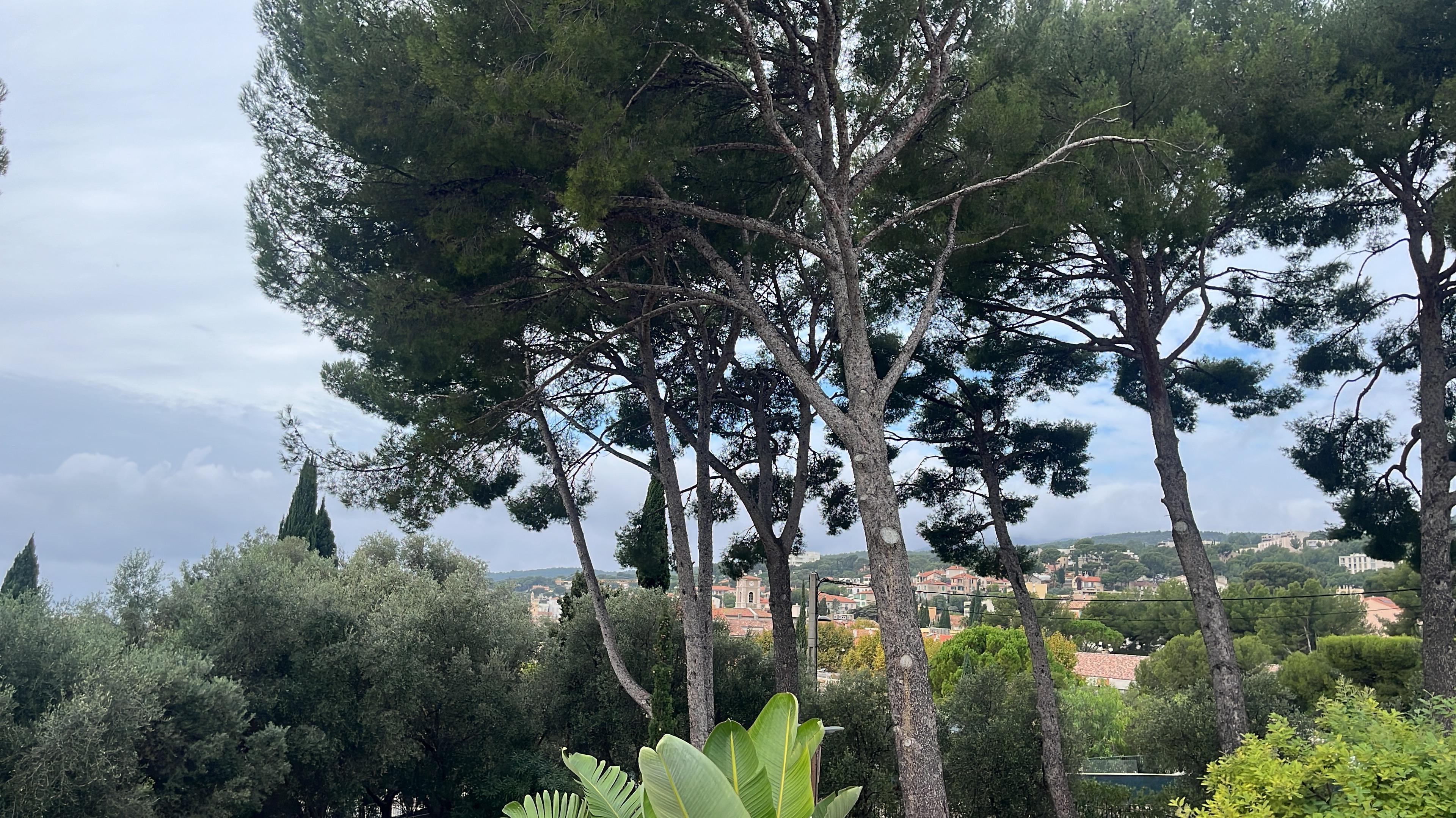 One of the views from our suite. 