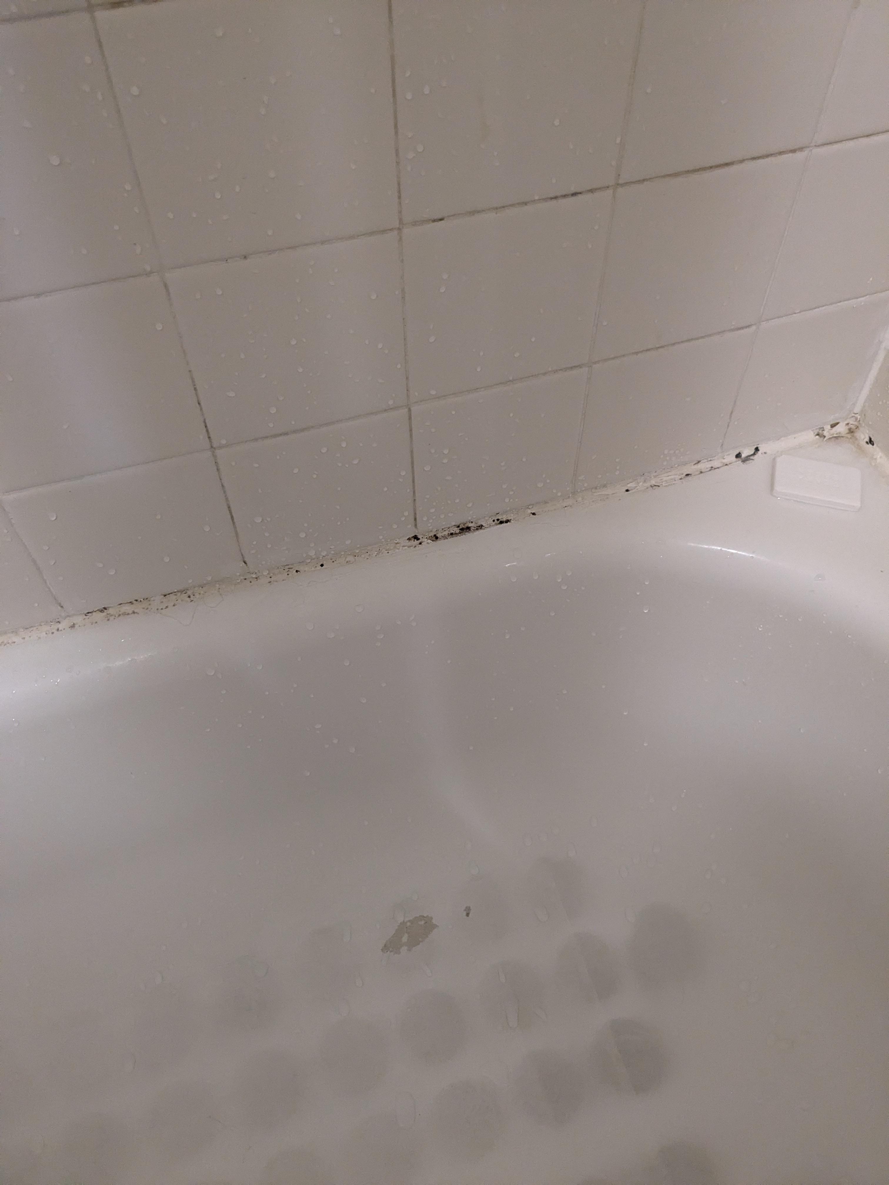 Mold on back of tub