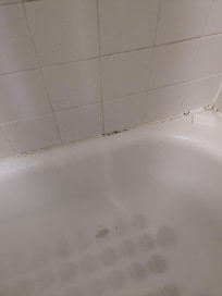 Mold on back of tub