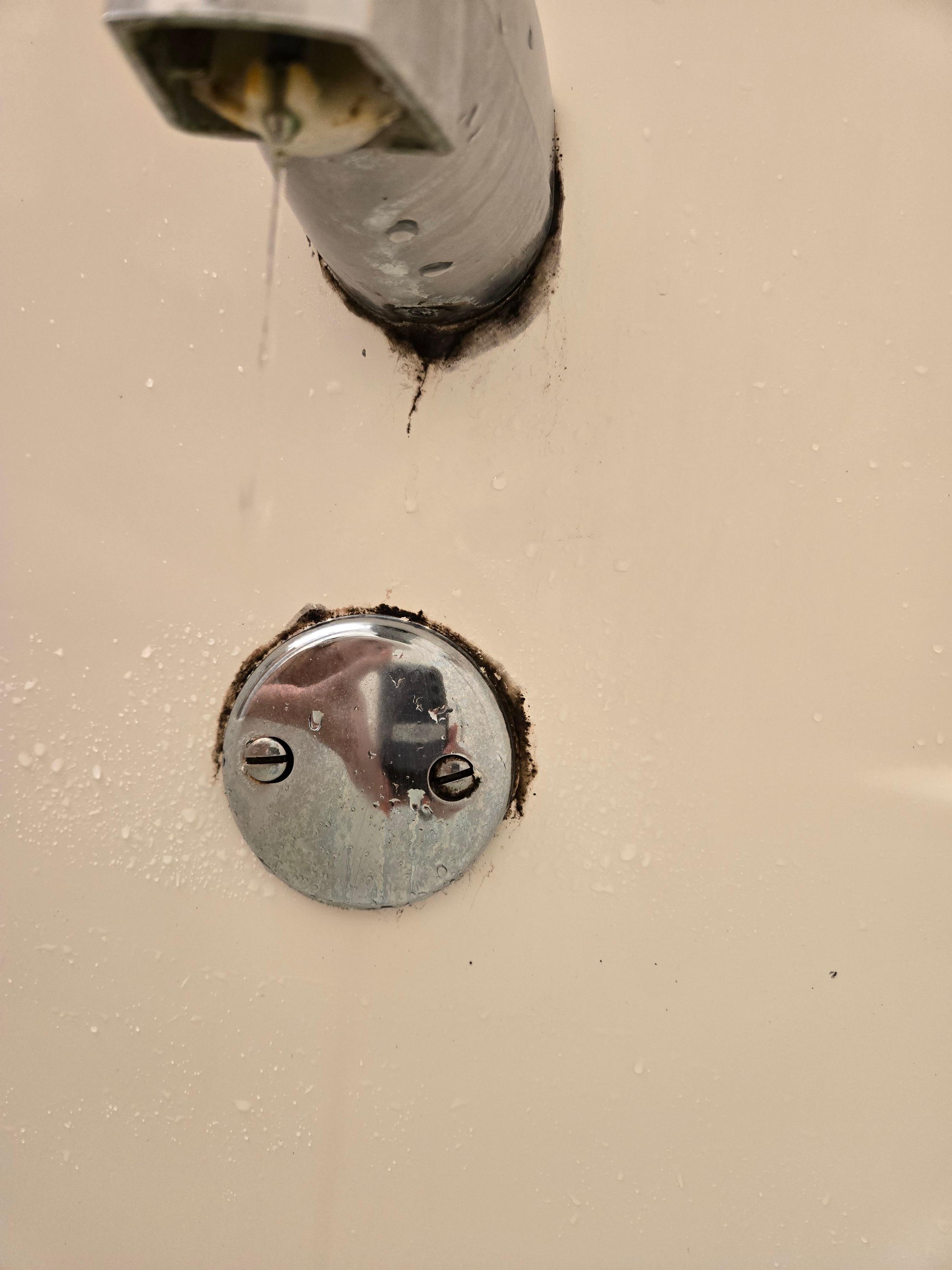 Tried to show the drip, but I think the black mold around the fixtures is even more telling.