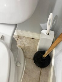 dirty bathroom, dead moth.