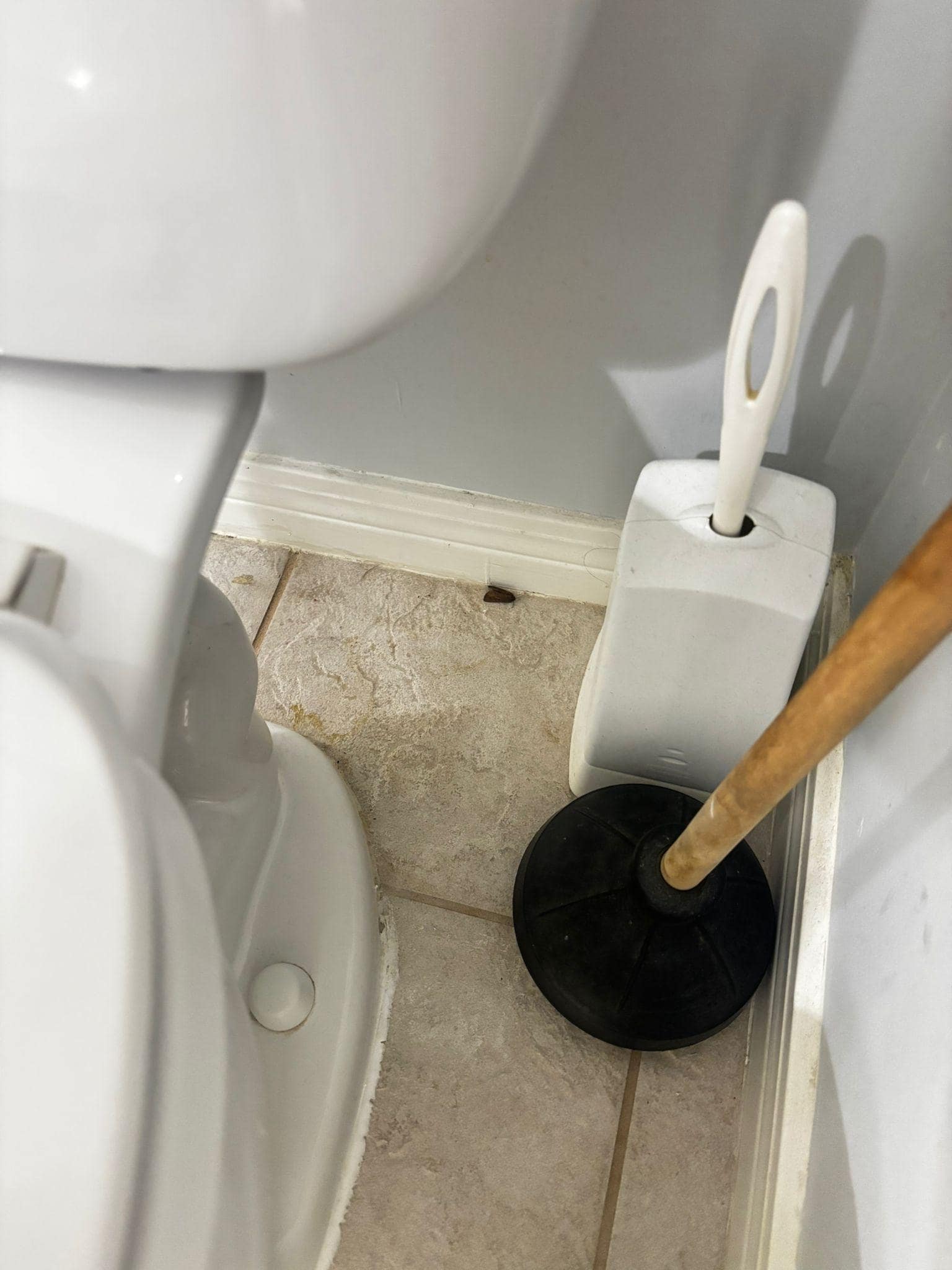 dirty bathroom, dead moth. 