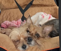 In car seat bed keeping warm