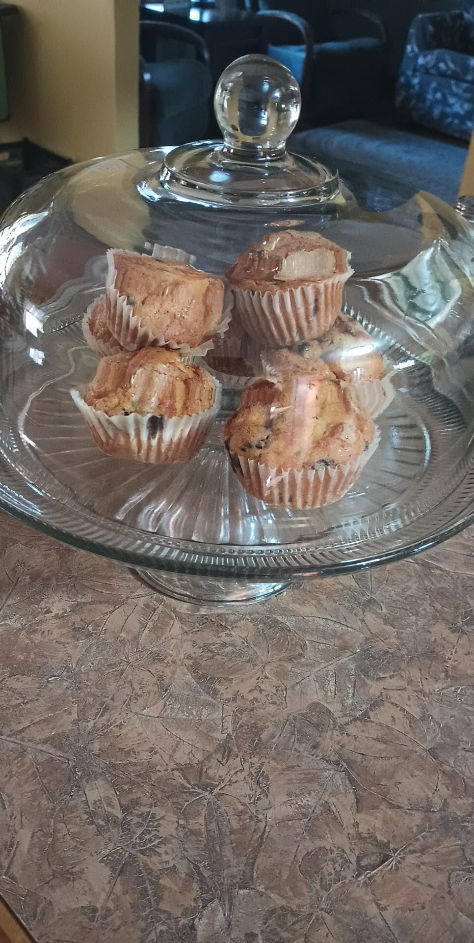 Fresh blueberry muffins 