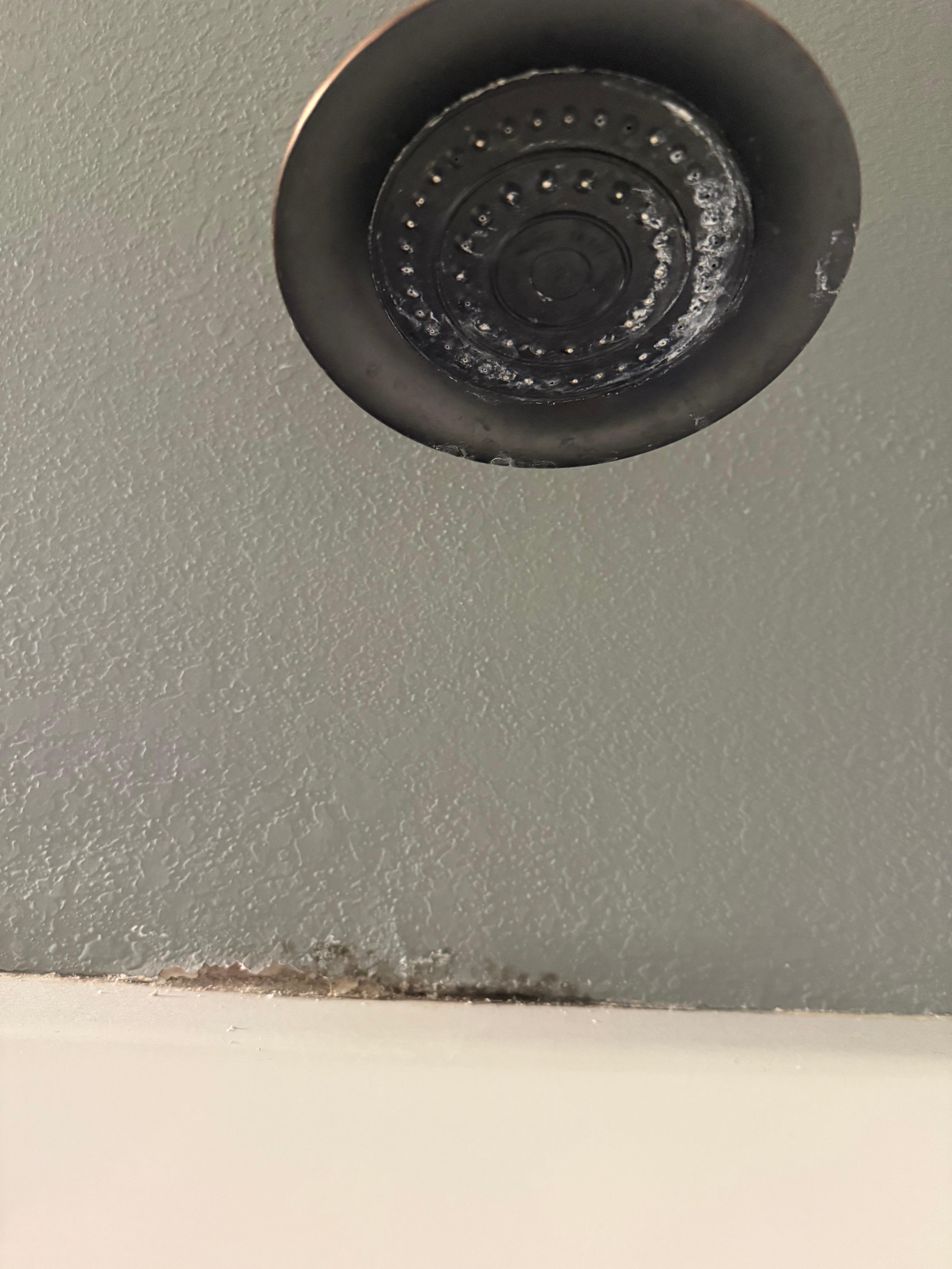 Mold in shower for upstairs guest bathroom