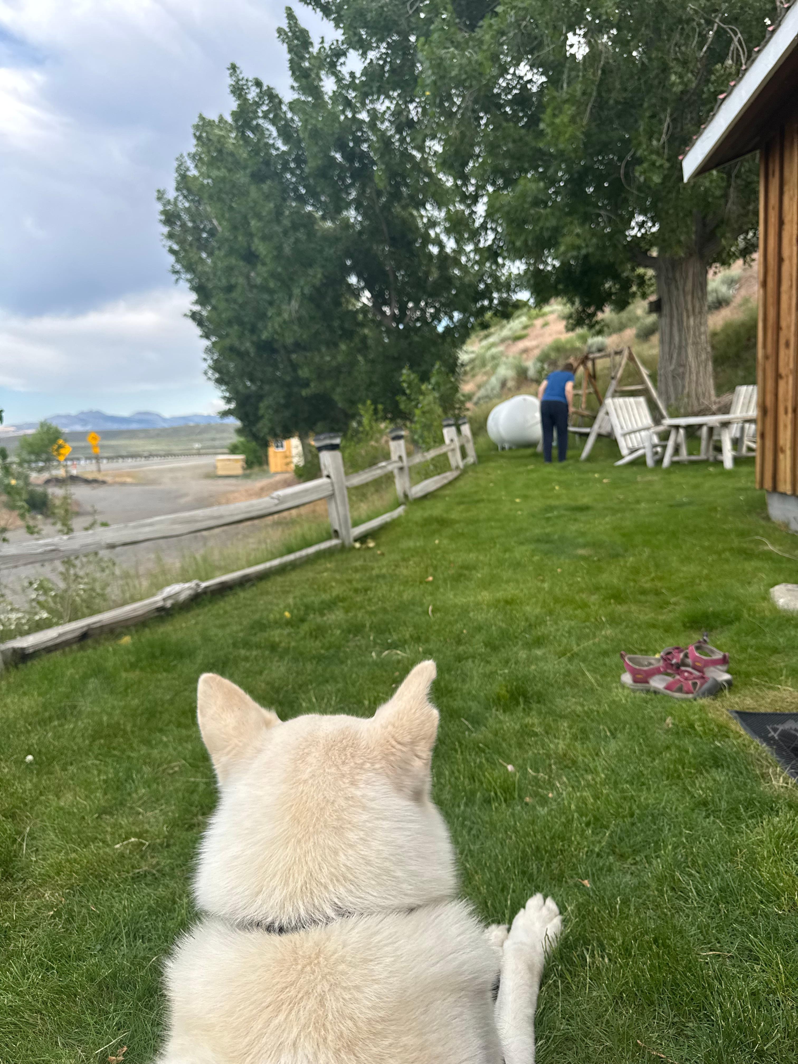 Enjoying the lawn!