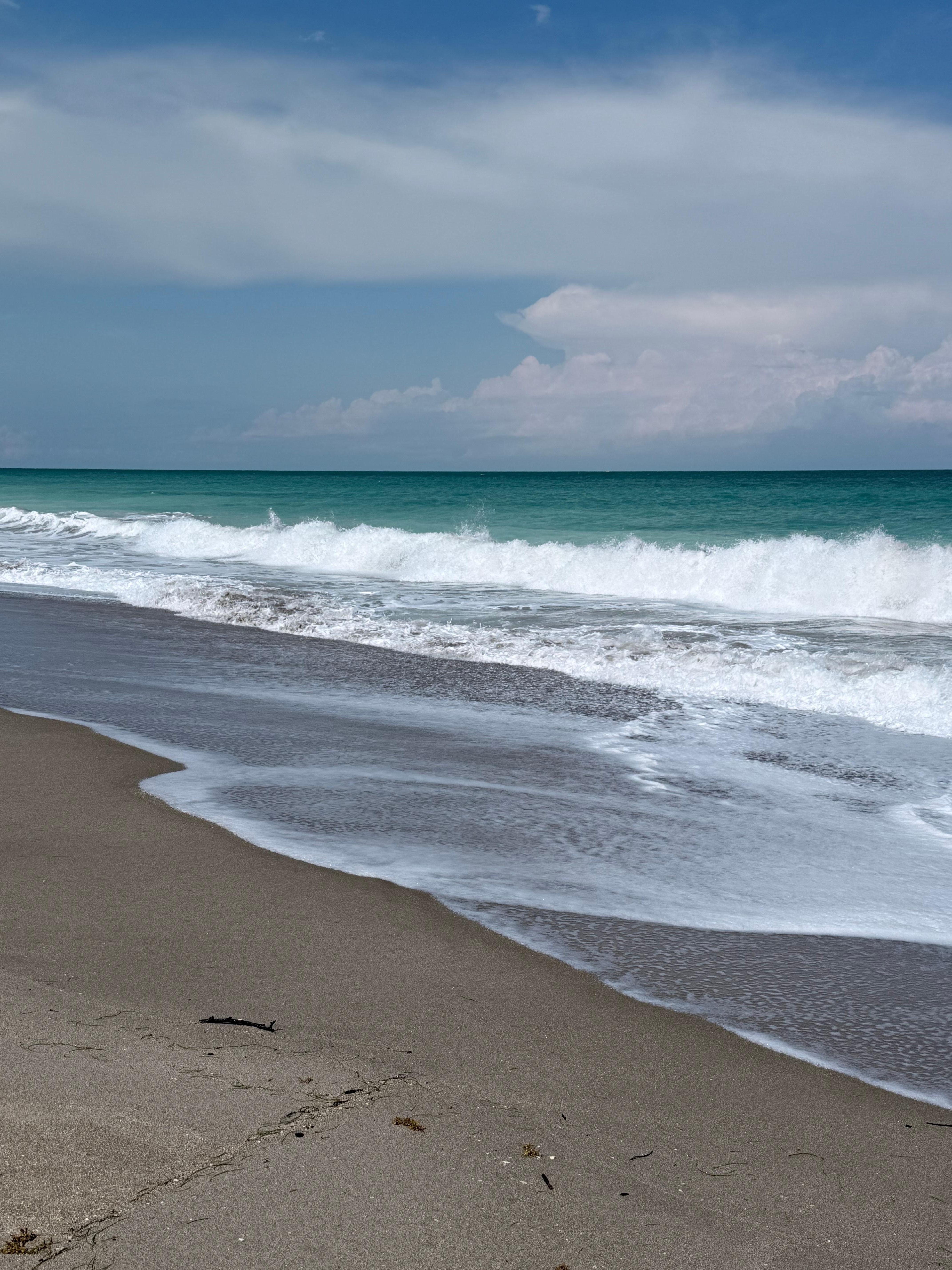 Beautiful walks on the beach 