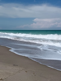 Beautiful walks on the beach