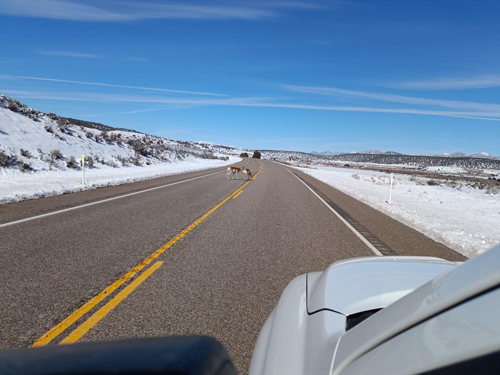 No snow on the main road