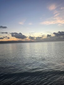 My beautiful morning view!