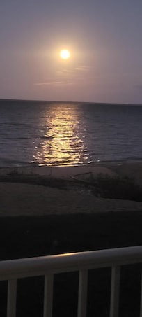 Harvest moon
