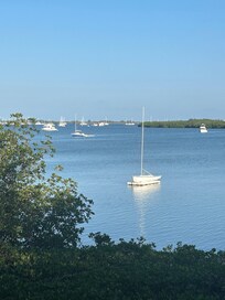 View from the back veranda.