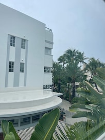 The view from my room