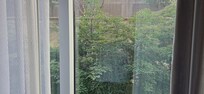 Our "river view" that we paid for and did not get.