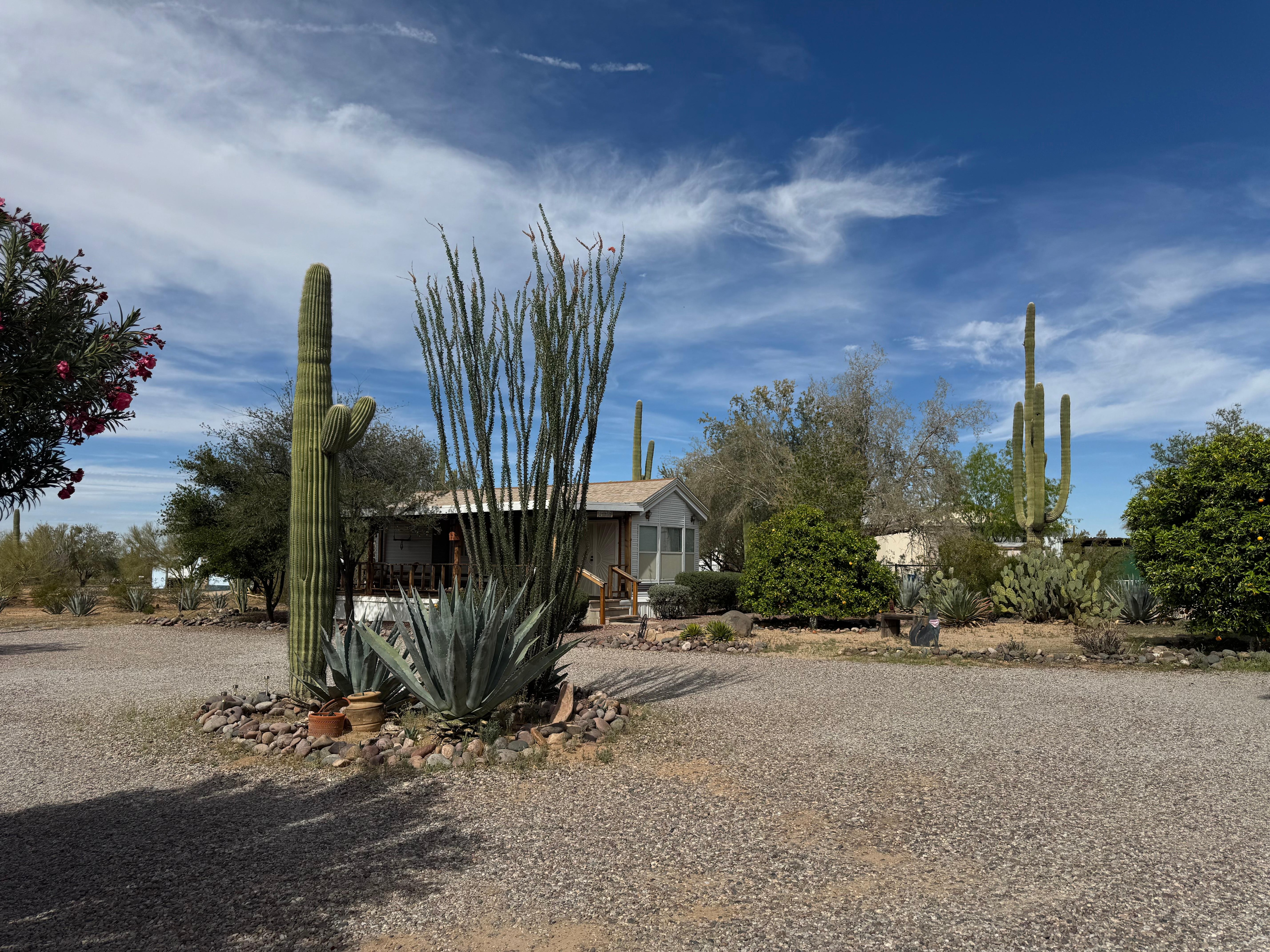 View of bunkhouse & side yard with orange & grapefruit trees
