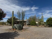 View of bunkhouse & side yard with orange & grapefruit trees