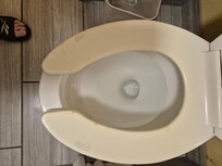 Toilet seat damaged and painted over