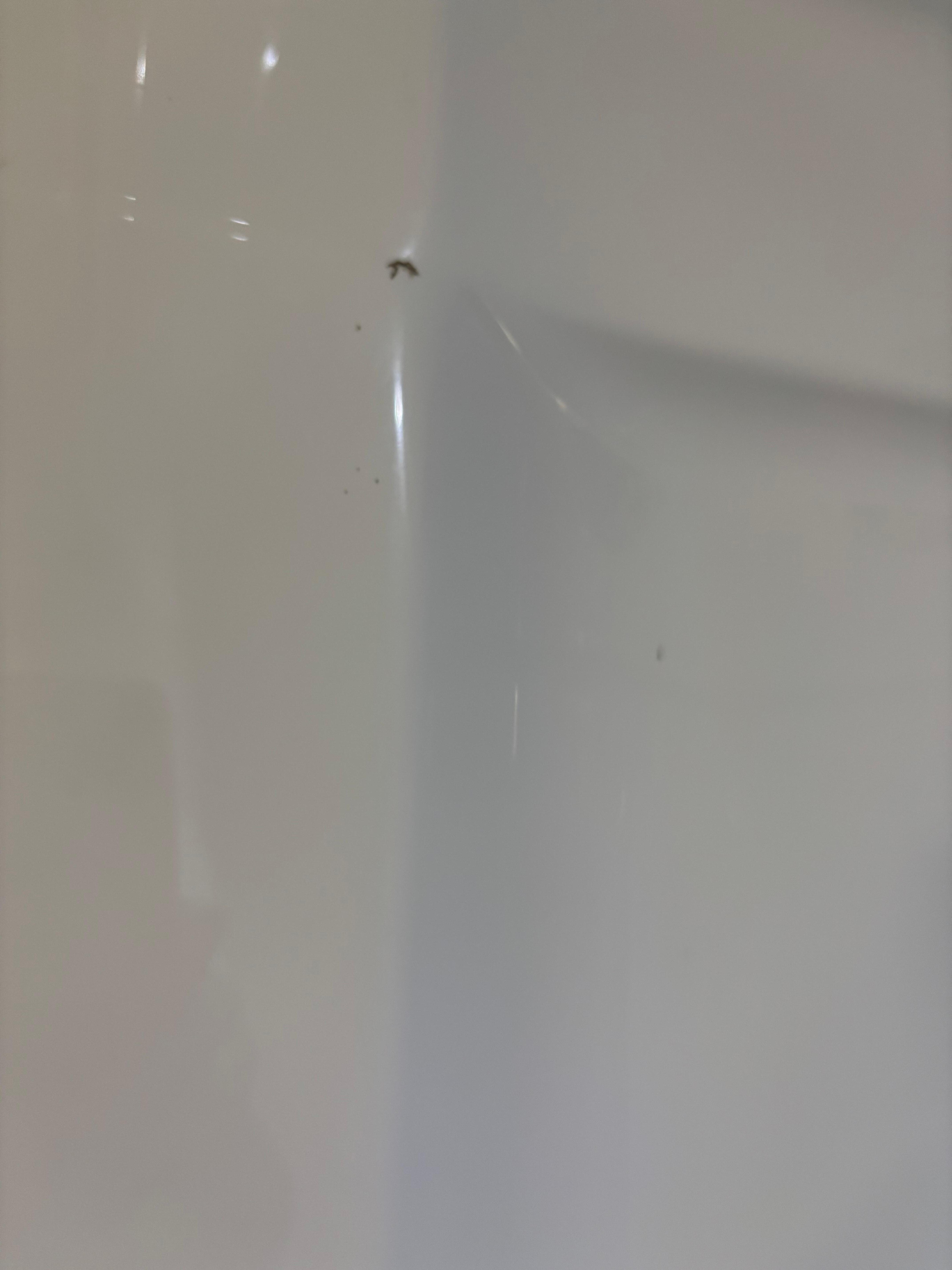 Stain in shower 
