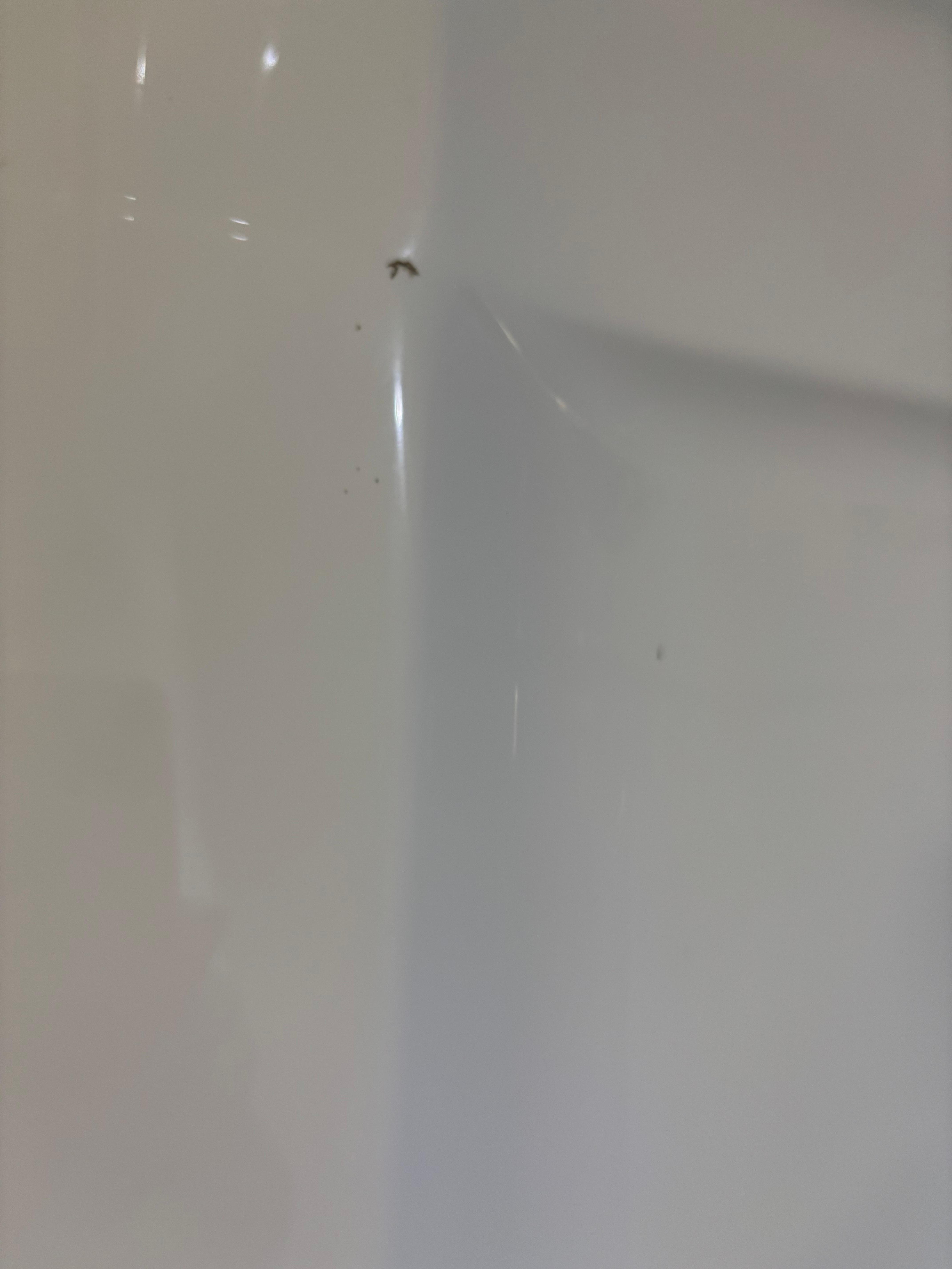Stain in shower