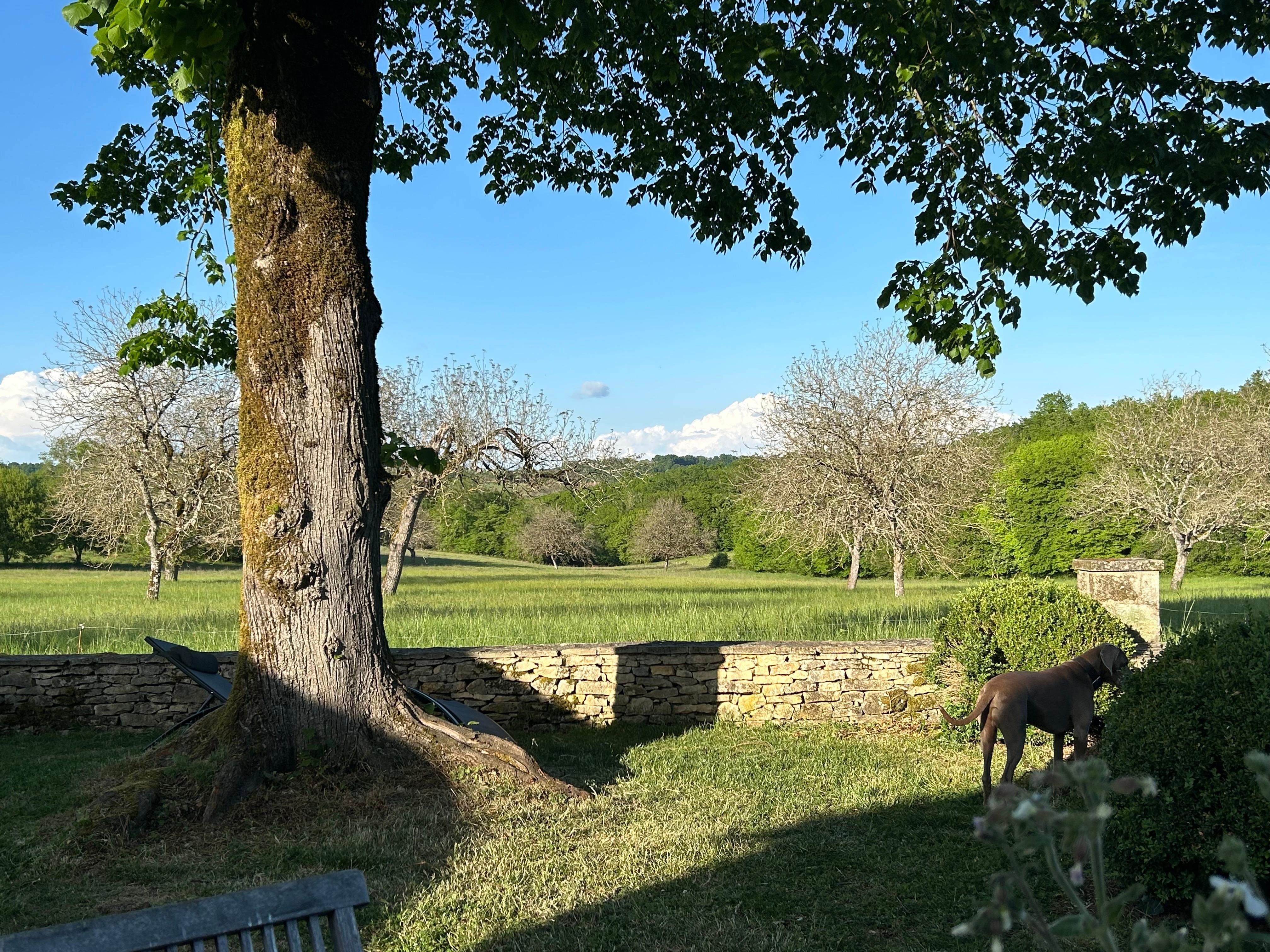 View from backgarden into the fields