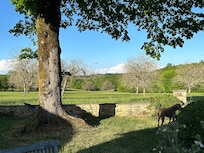 View from backgarden into the fields
