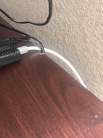 The roach living its best life.