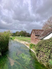 Watercress beds