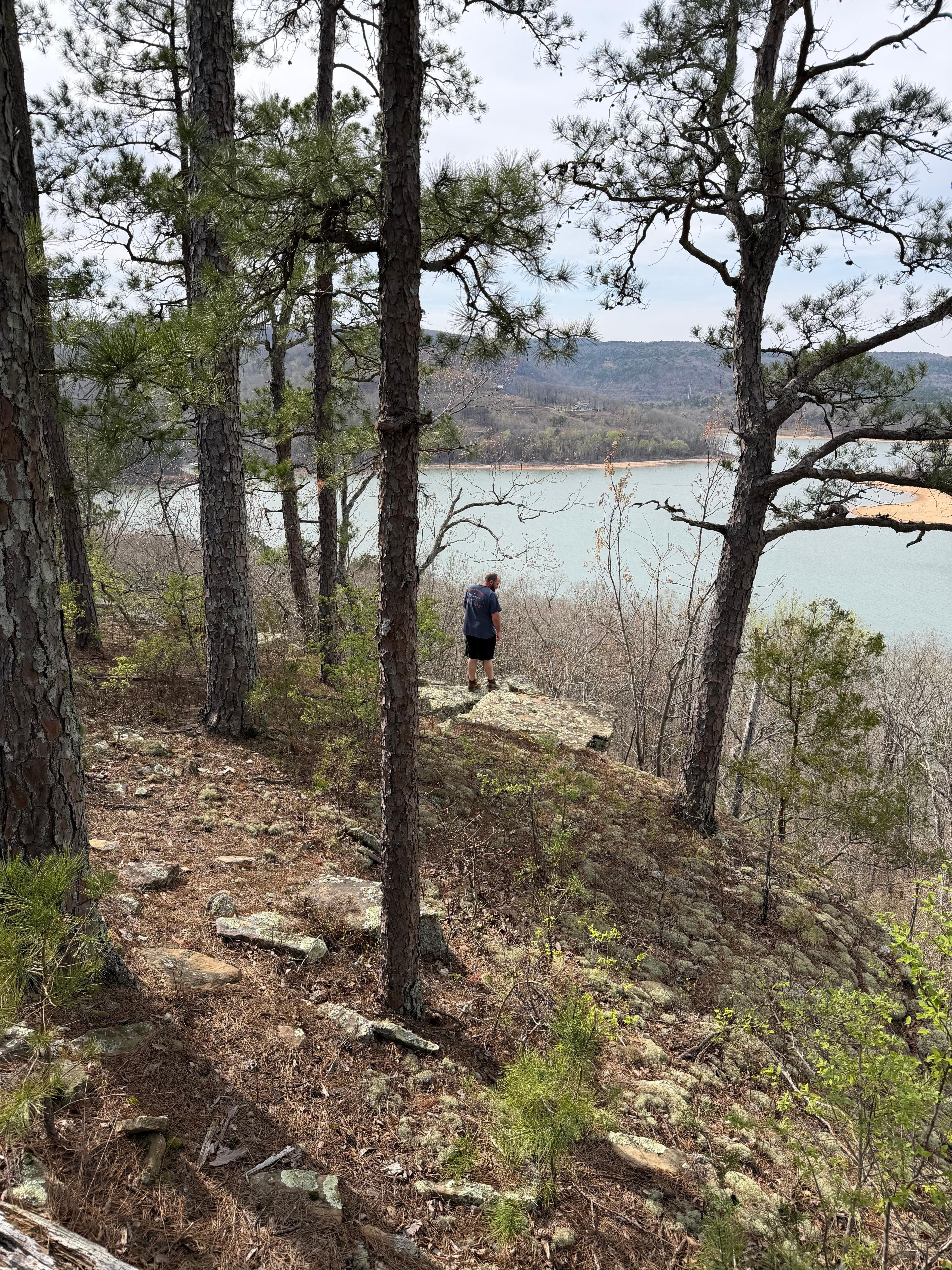 Woods on one of the hiking trails.