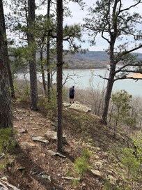 Woods on one of the hiking trails.