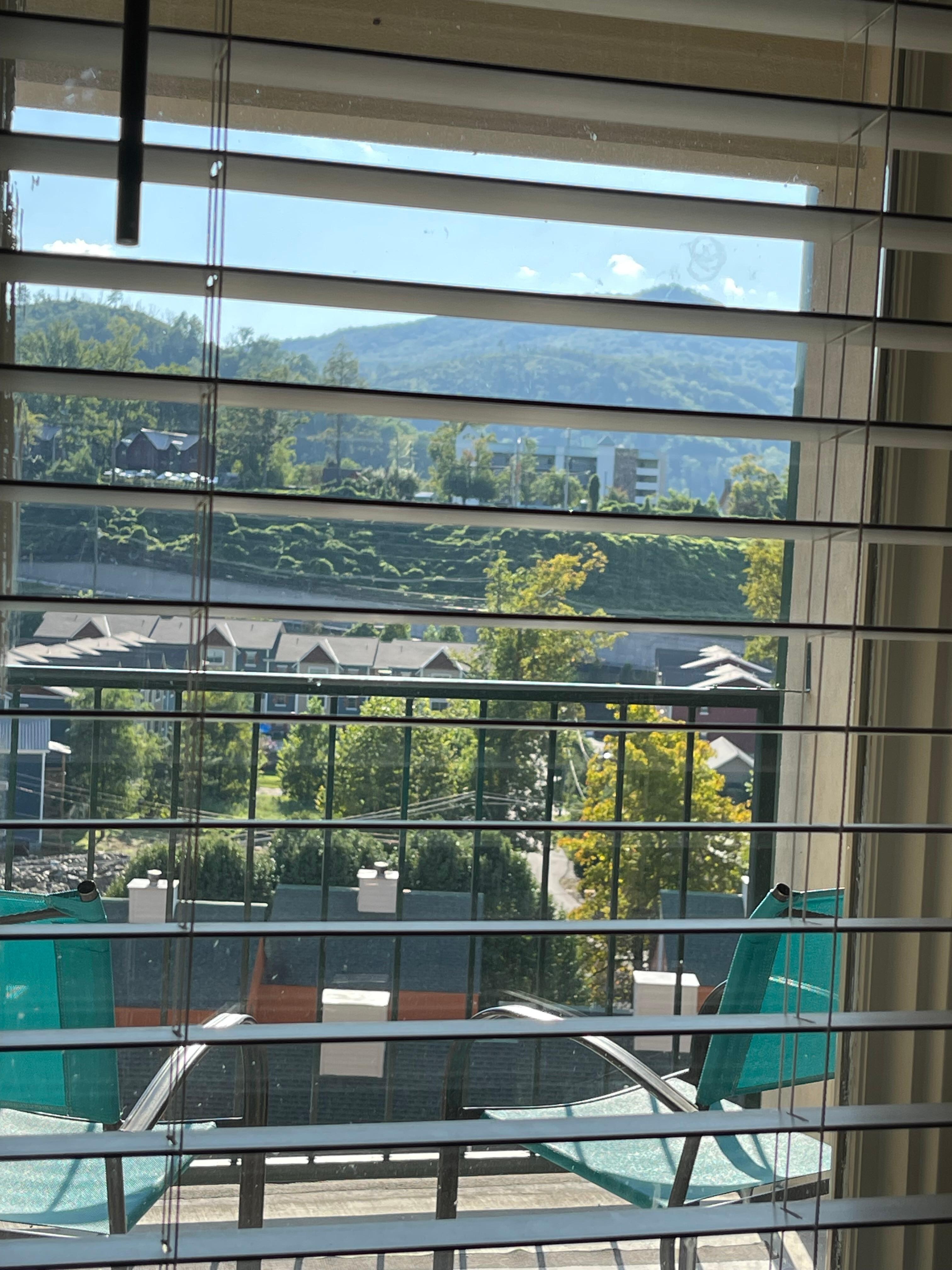 Looking out window
